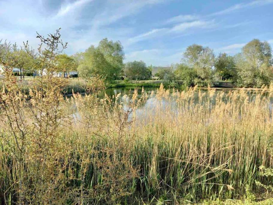 Le Domaine Reserve , Parking Et Ecrin De Verdure Amiens Extérieur photo