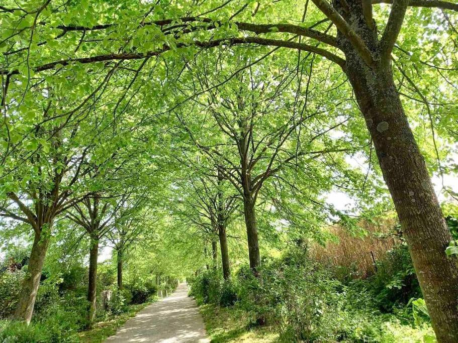 Le Domaine Reserve , Parking Et Ecrin De Verdure Amiens Extérieur photo