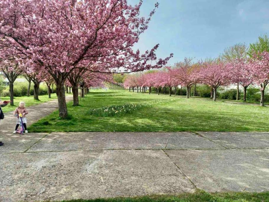 Le Domaine Reserve , Parking Et Ecrin De Verdure Amiens Extérieur photo