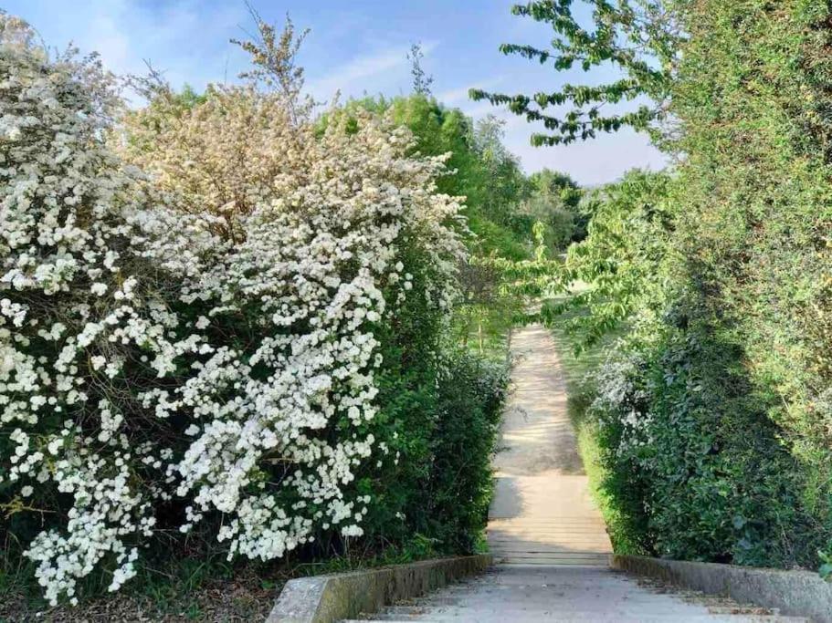 Le Domaine Reserve , Parking Et Ecrin De Verdure Amiens Extérieur photo